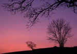 Dusk, Raddon
