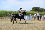 WJ6_8324