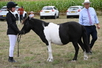WJ6_5520