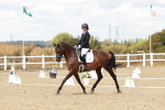 SBM_009905