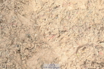 230422A-124542-05878