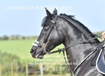 BPP_8187