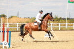 SBM_006687