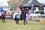 SBM_10179