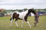 SBM_09919