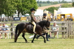 SBM_05414