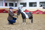 SBM_15739