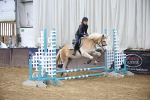 SBM_000146