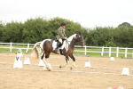 SBM_008663