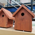 Bird boxes