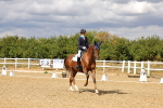 SBM_006491