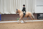 SBM_002165