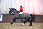 SBM_005995