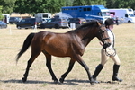WJ6_9131