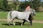 SIAL5941