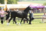 SBM_02323