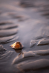 Hayling Beach IMG_7975