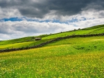 Hubberholme Meadows