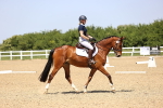SBM_009020