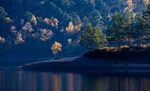 Autumn scene 4