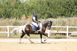 SBM_001719