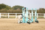 SBM_001163