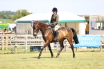 SBM_18038