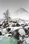 Frozen Falls