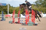 Cls 21 Snr British Novice and 90cm Open portfolio
