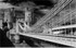 Conway suspension bridge 5 bw