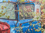 BLUE-RED-GREEN