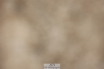 240810-131815-03275