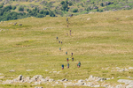 Duddon Short-59