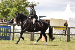 SBM_14552