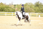 SBM_007864