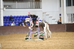 SBM_002703