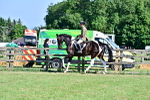 SBM_19586