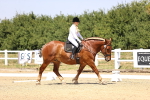 SBM_004137