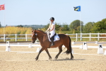 SBM_012603