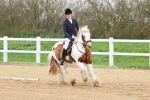 SBM_000679