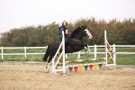 SBM_001264