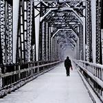 A Walk in the Snow