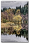 Loch Chon reflections