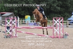 BPP_4646