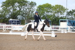 SBM_00234