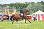 BPP_8833