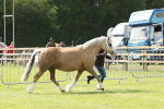 SBM_02135