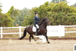 SBM_001215