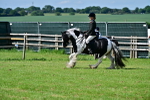 SBM_09349