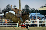 3HRodeo8-4-24_CFD_3HR-YUMA- 1162_